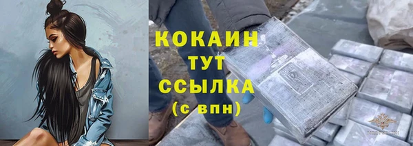 тгк Арсеньев