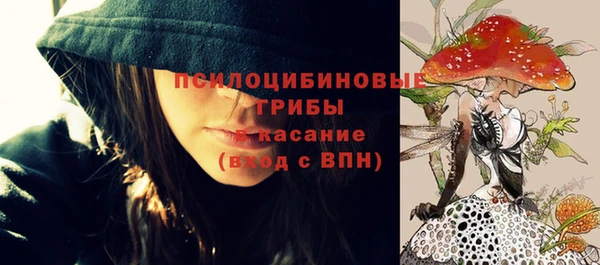гидропоника Аркадак
